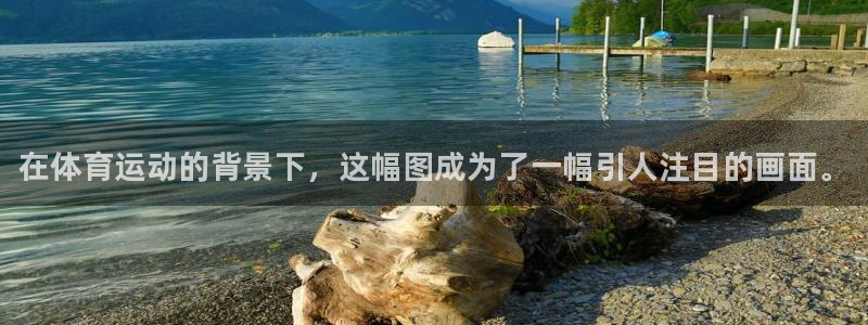 JJB竞技宝官方正版app代理：在体育运动的背景下，