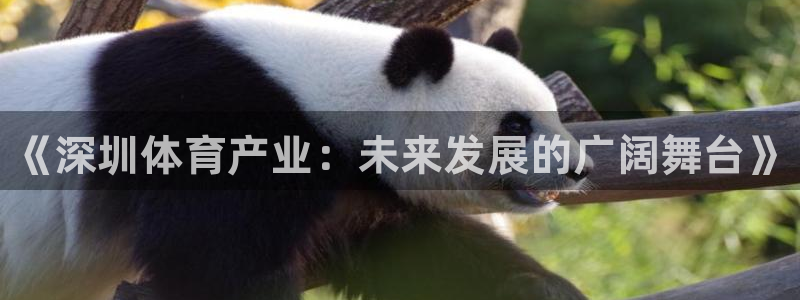 JJB竞技宝官方正版app娱乐是那个系列的台子：《深圳体育产