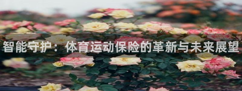 JJB竞技宝官网下载招商电话地址查询：智能守护：体育