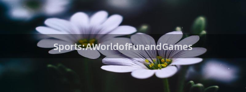 JJB竞技宝官网下载招商：Sports:AWorld