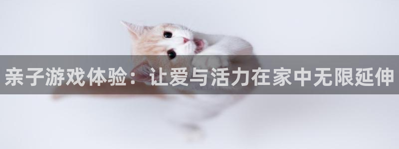 JJB竞技宝官方正版app开户：亲子游戏体验：让爱与