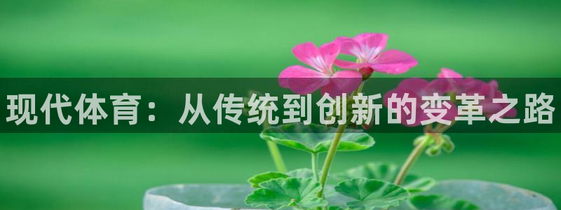 德国JJB竞技宝官方正版app集团：现代体育：从传统