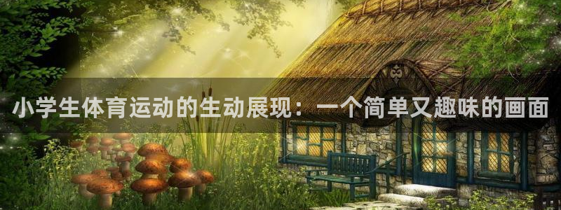 海南JJB竞技宝官网下载发展怎么样：小学生体育运动的生动展现