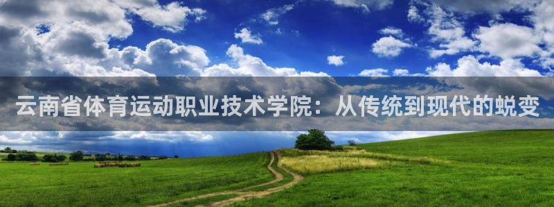 JJB竞技宝官网下载招商电话地址查询：云南省体育运动