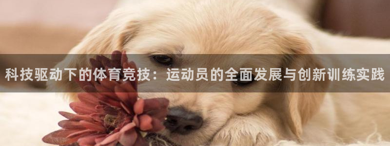 JJB竞技宝官网下载招商电话号码：科技驱动下的体育竞技：运动