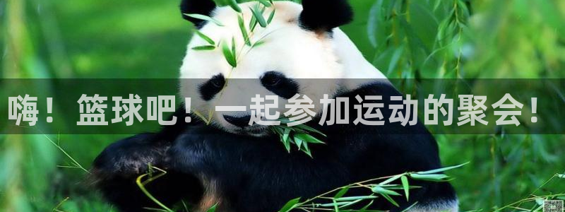 JJB竞技宝官网下载平台注册流程视频：嗨！篮球吧！一