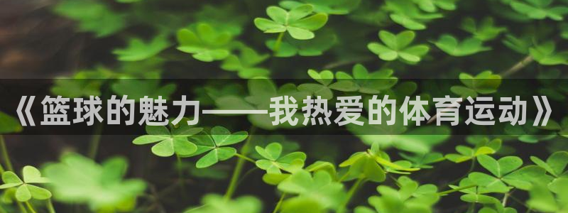 JJB竞技宝官网下载娱乐