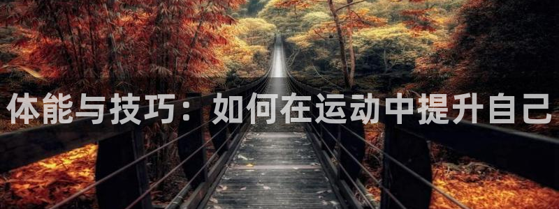 JJB竞技宝官网下载平台注册要钱吗：体能与技巧：如何在运动中