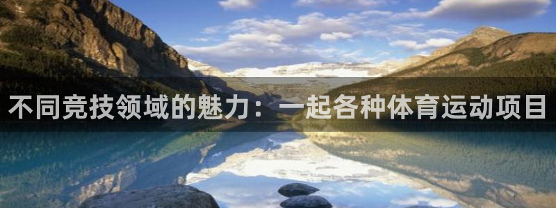 JJB竞技宝官网下载软件：不同竞技领域的魅力：一起各种体育运