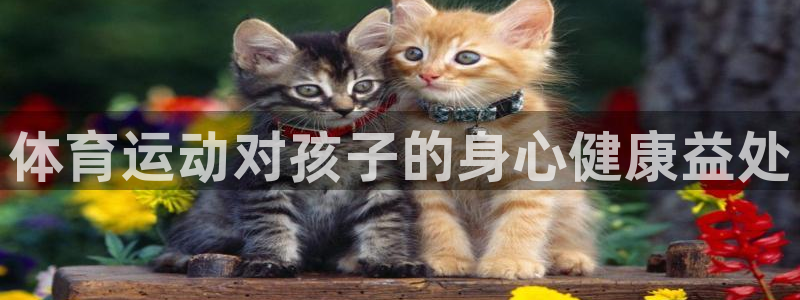 JJB竞技宝官网下载：体育运动对孩子的身心健康益处