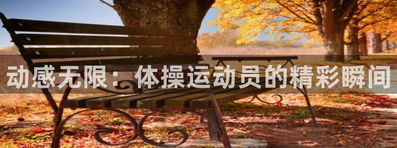 JJB竞技宝官网下载招商电话：动感无限：体操运动员的精彩瞬间